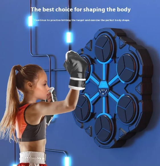Boxing Target Trainer - Bluetooth Music Home Workout